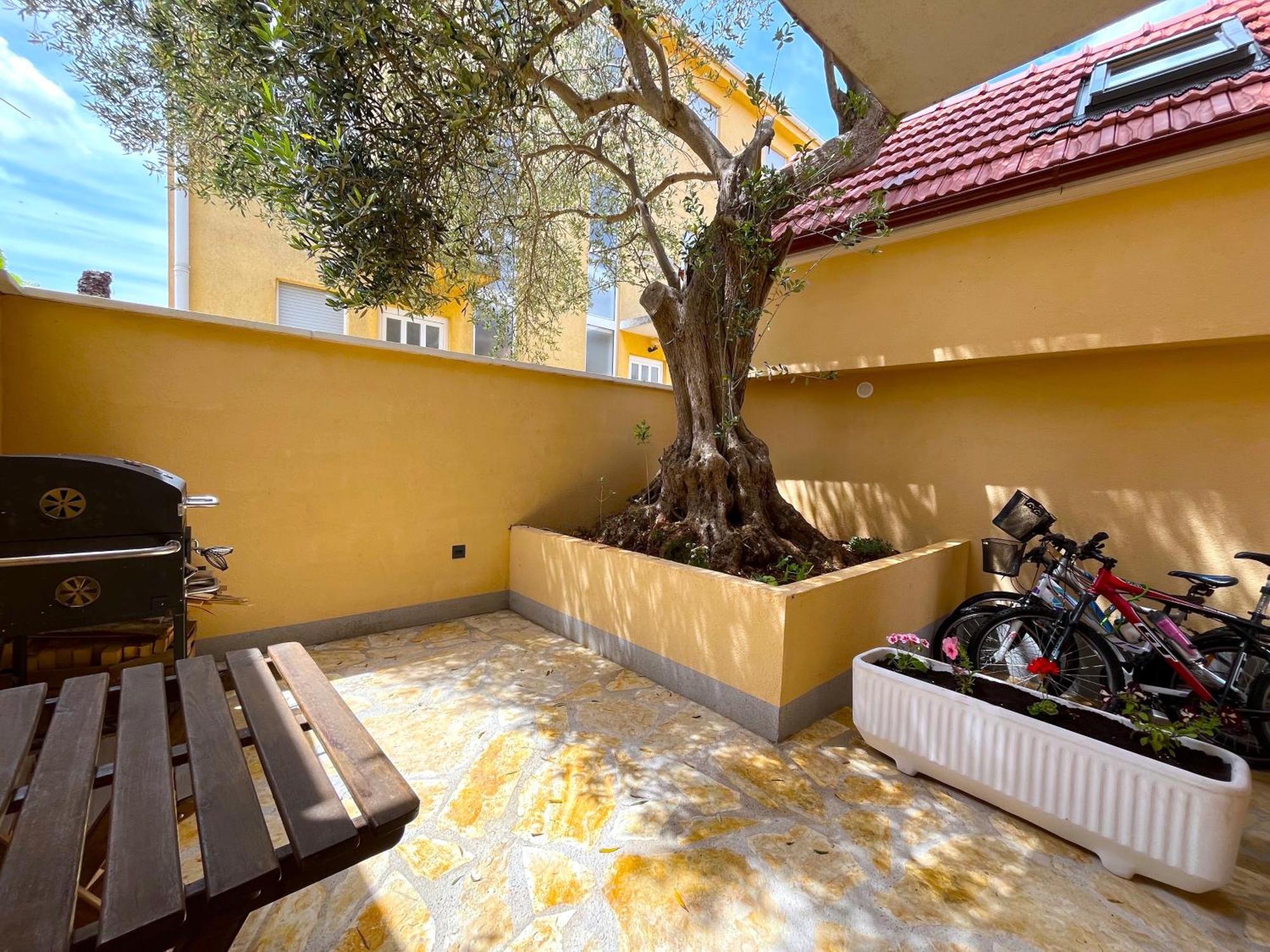 Olive Tree Appartement Stari Grad  Buitenkant foto